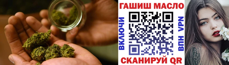 где купить   Терек  ТГК концентрат 