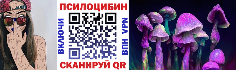 где продают наркотики  Терек  Галлюциногенные грибы MAGIC MUSHROOMS 
